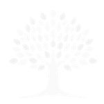 Monteiro Loretti Advocacia